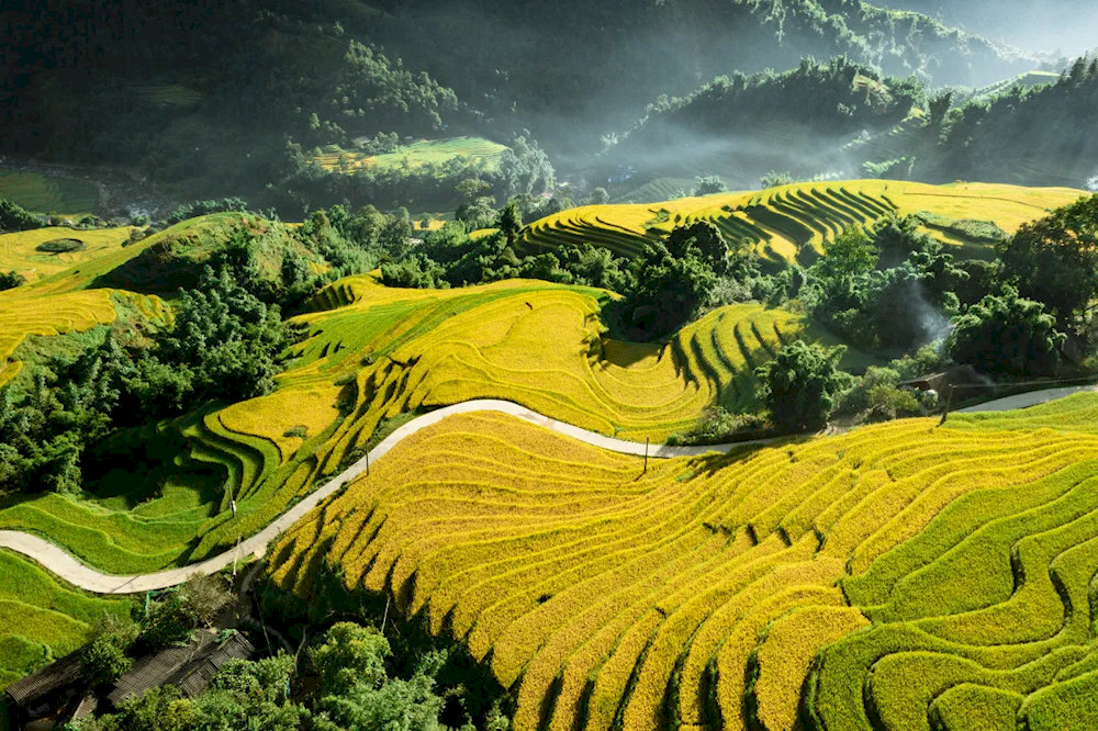 The terraced fields in Ta Van are among the most picturesque in Vietnam 